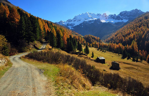 Alta Valtellina Bike Marathon Bormio