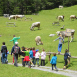 passeggiata nel verde - Bormio